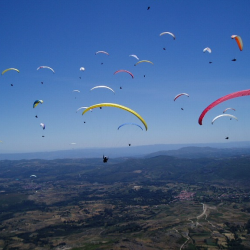ΑΠΟΣΤΑΣΕΙΣ / ΕΠΙΔΟΣΕΙΣ